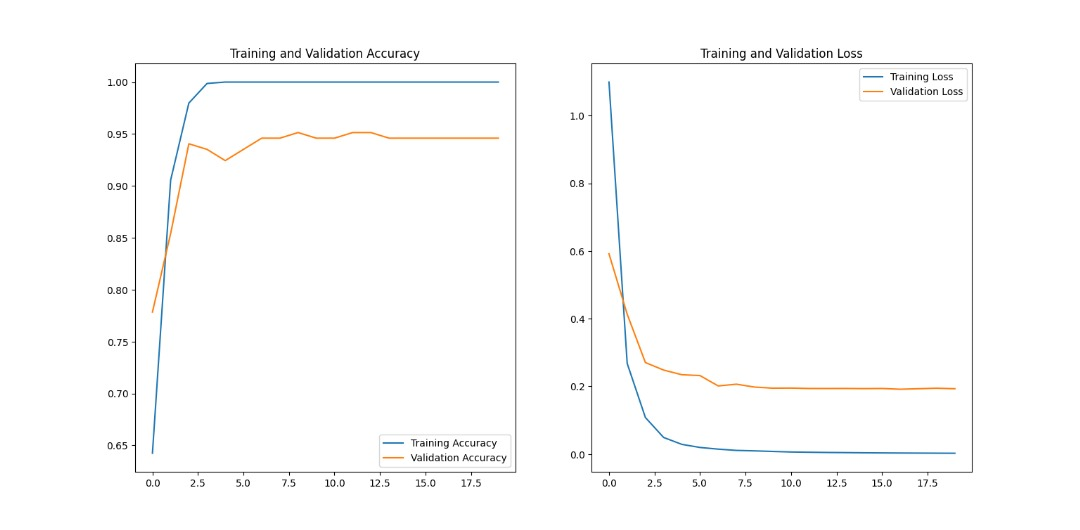 Training and validation curves