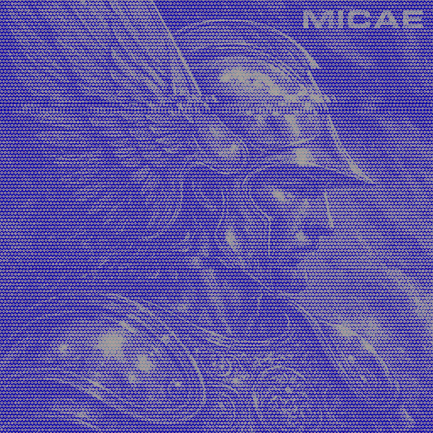 Micae 8B Preview