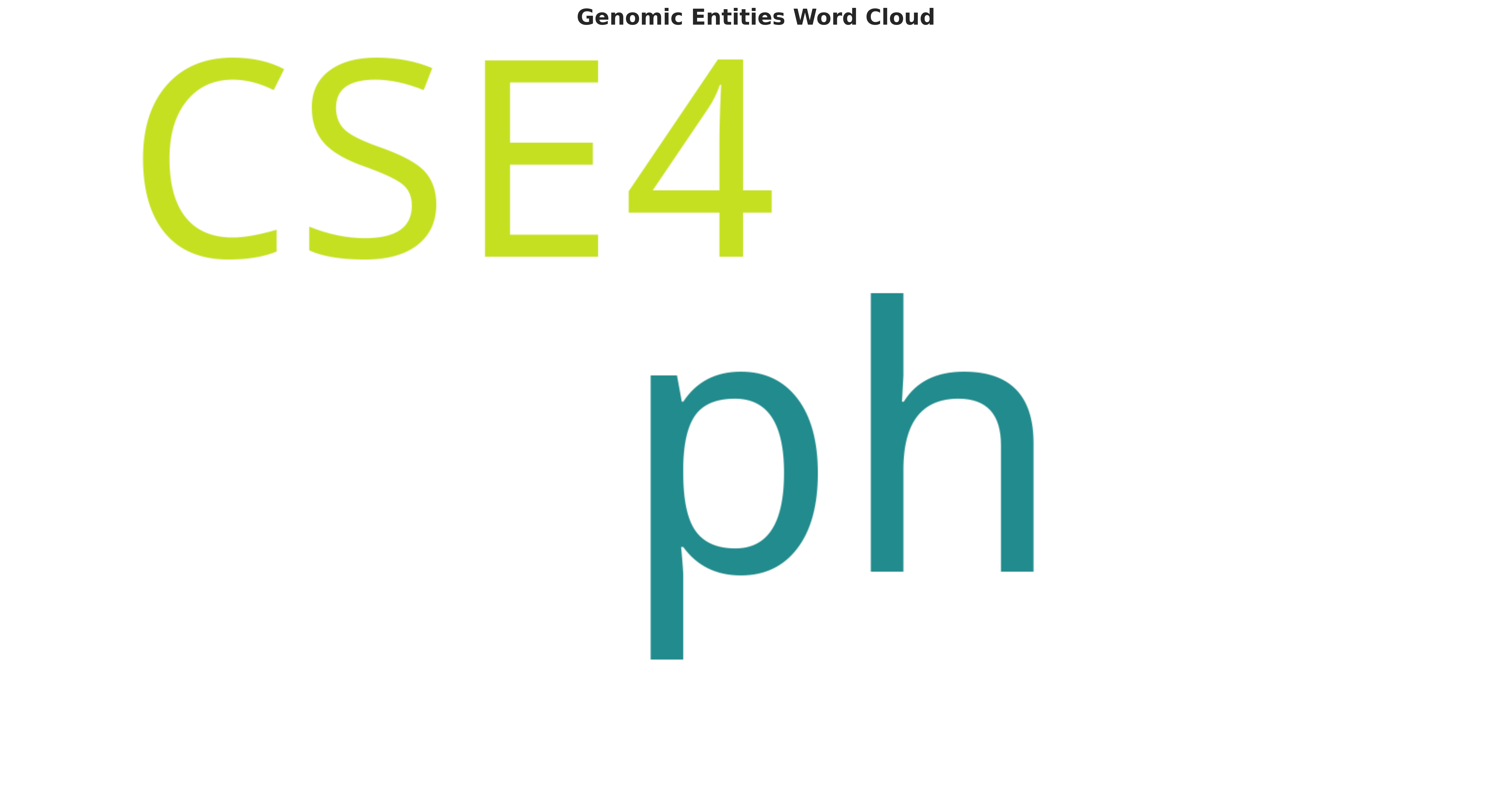 entities_wordcloud.png