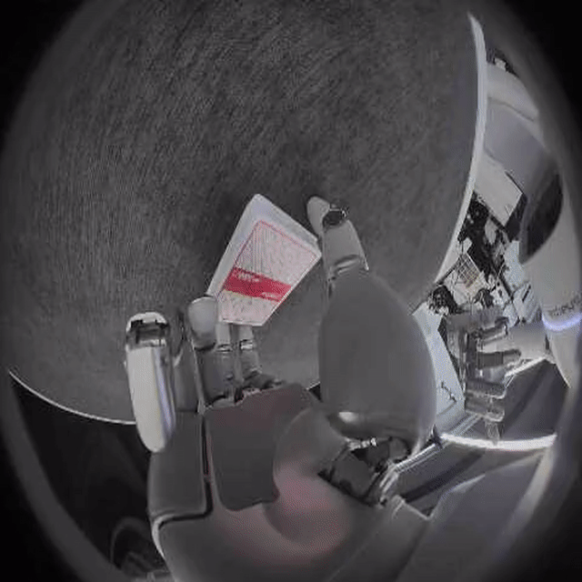 Right-wrist camera observation