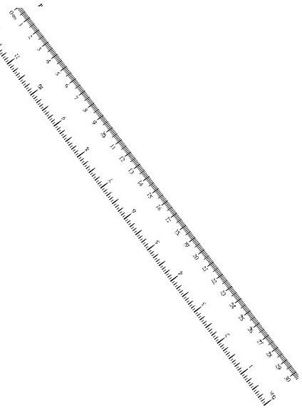 00014-50.jpg