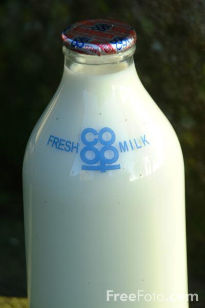 00006-6.jpg