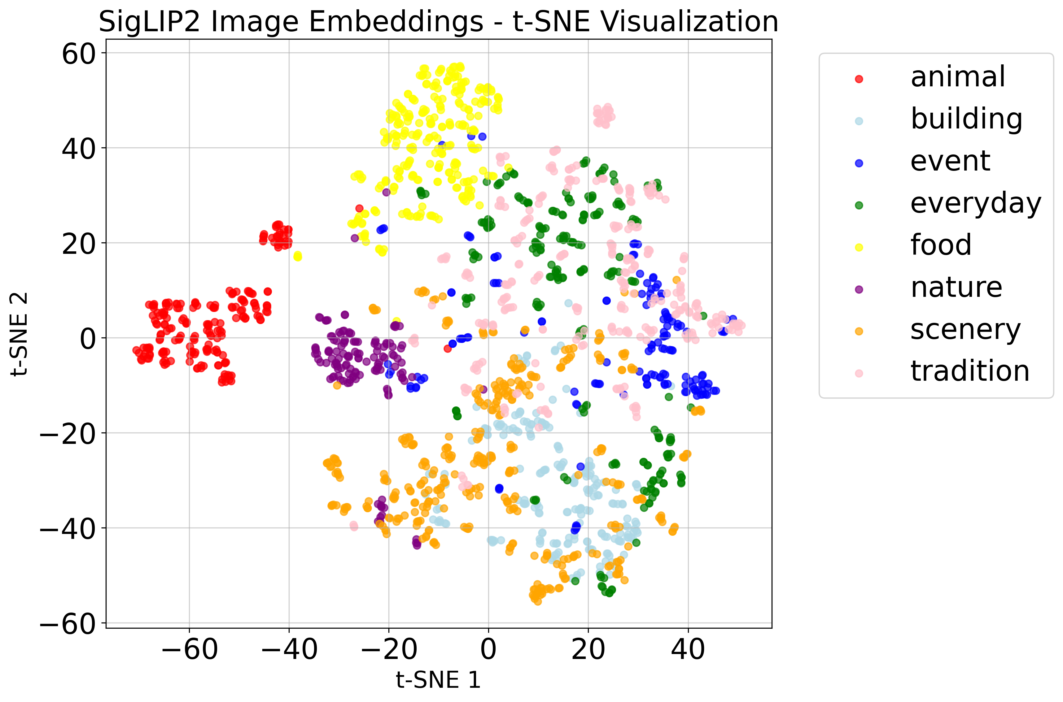 t-SNE Visualization