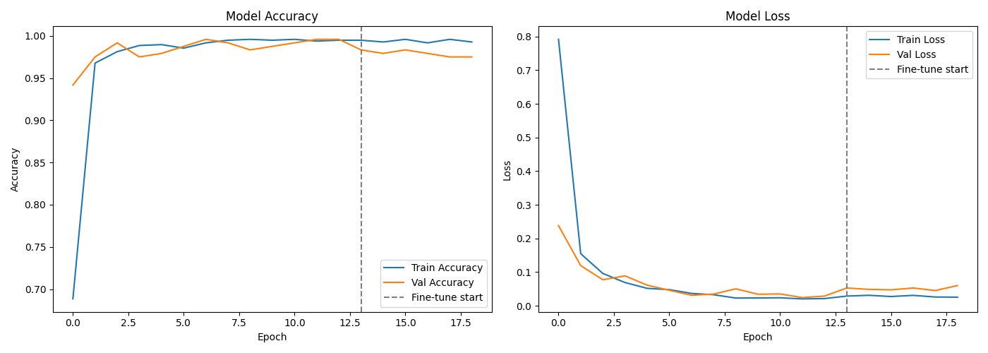 Training Curves