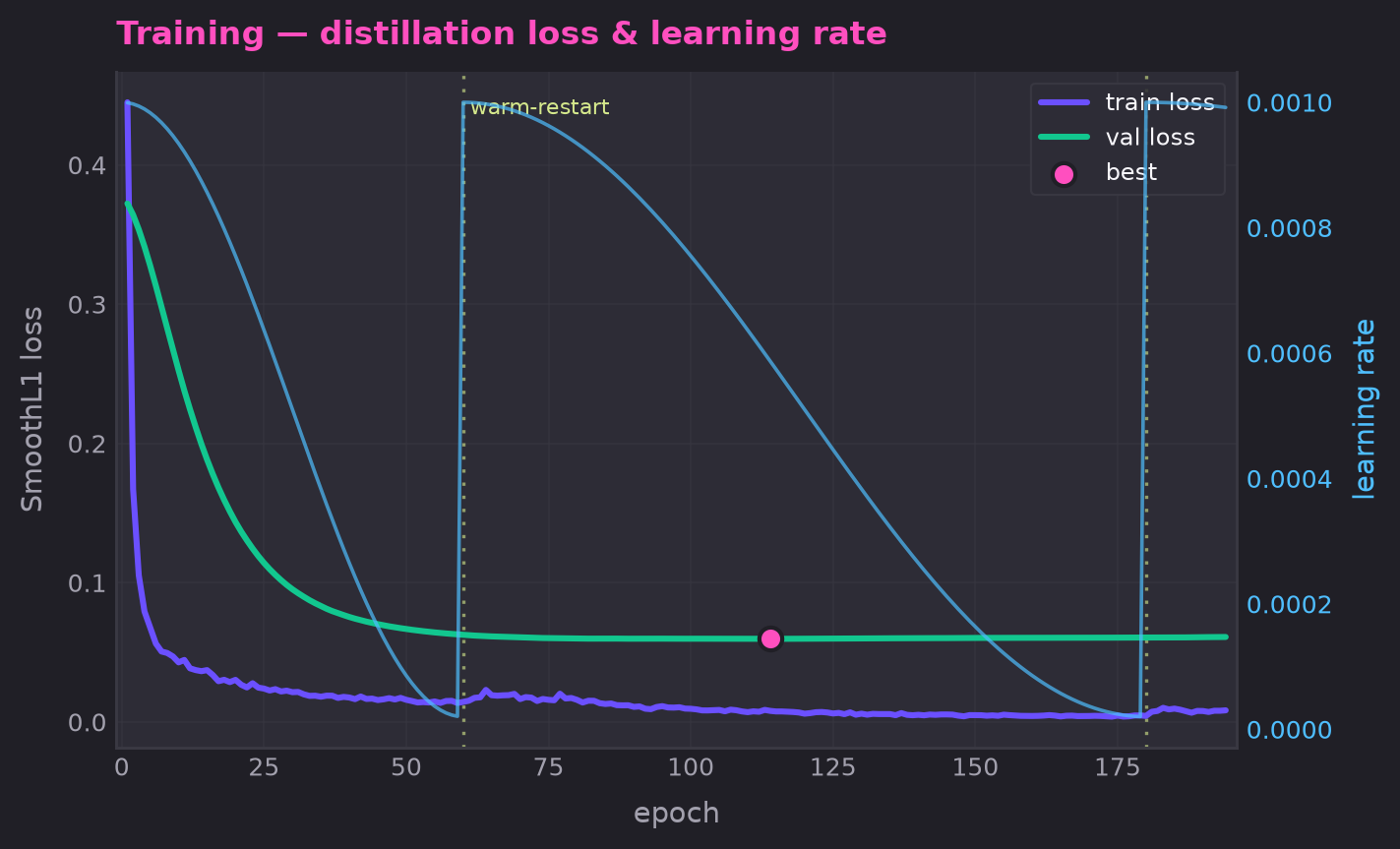 Training loss & learning rate