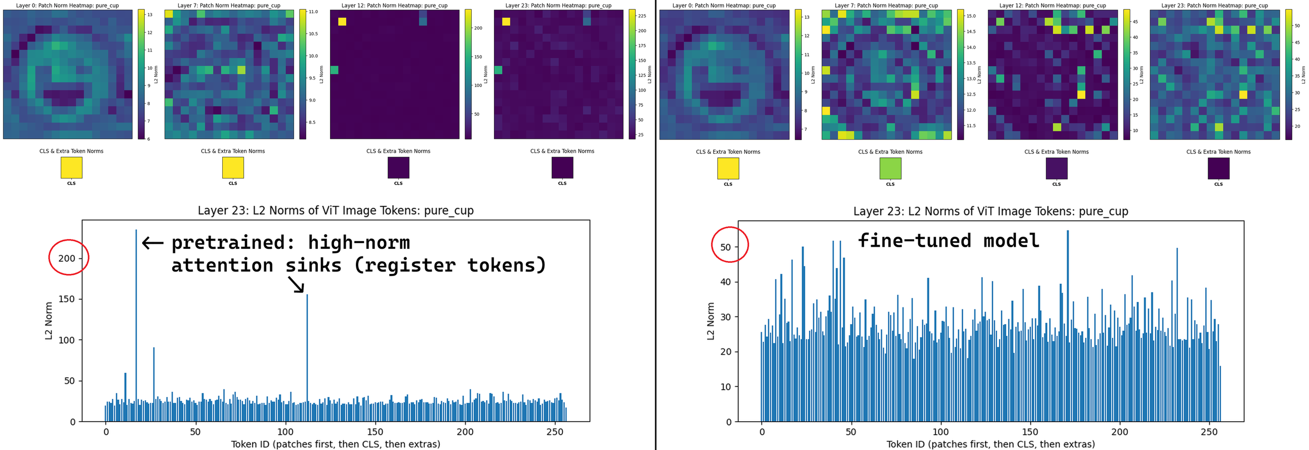 Patch Norms Pre-Trained vs. Fine-Tuned