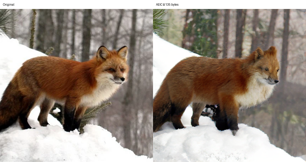Original and AEIC reconstruction at 135 bytes